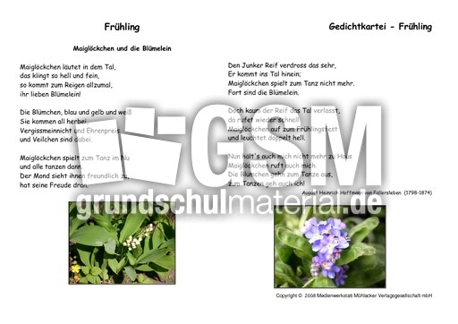 Maigloeckchen-Fallersleben.pdf
